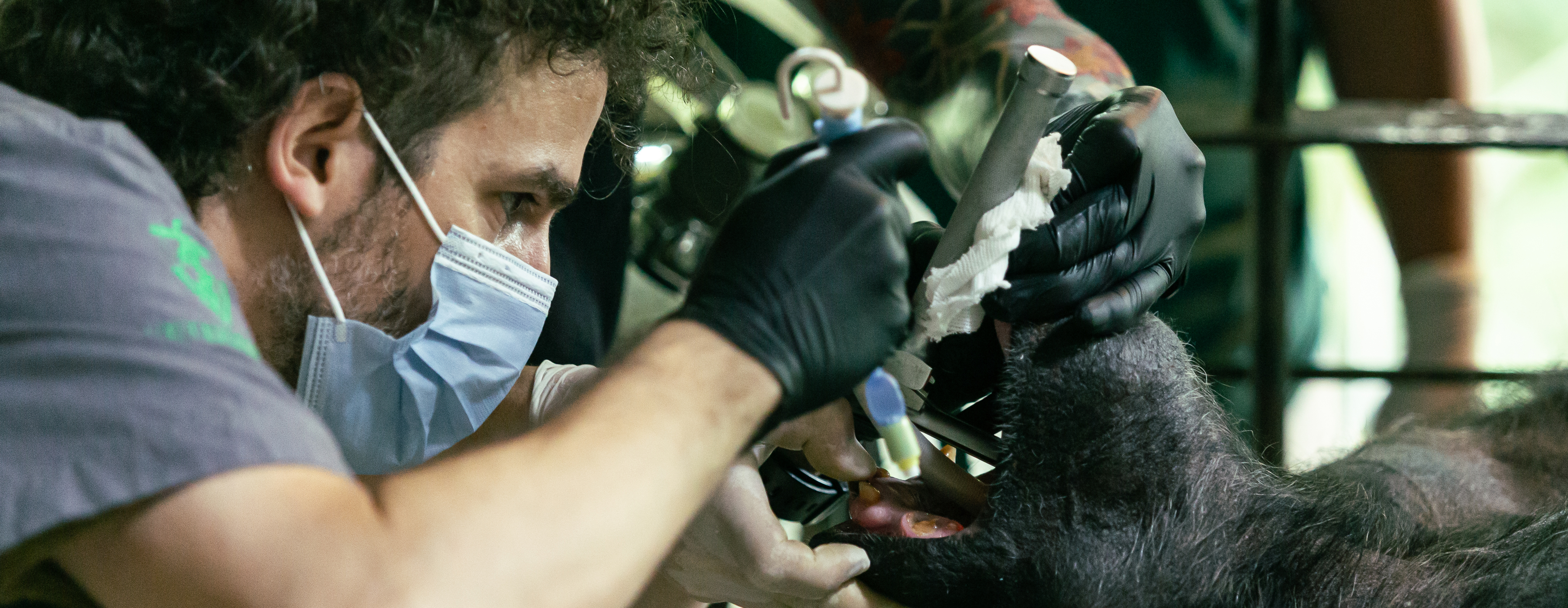 Educación y Comunidad